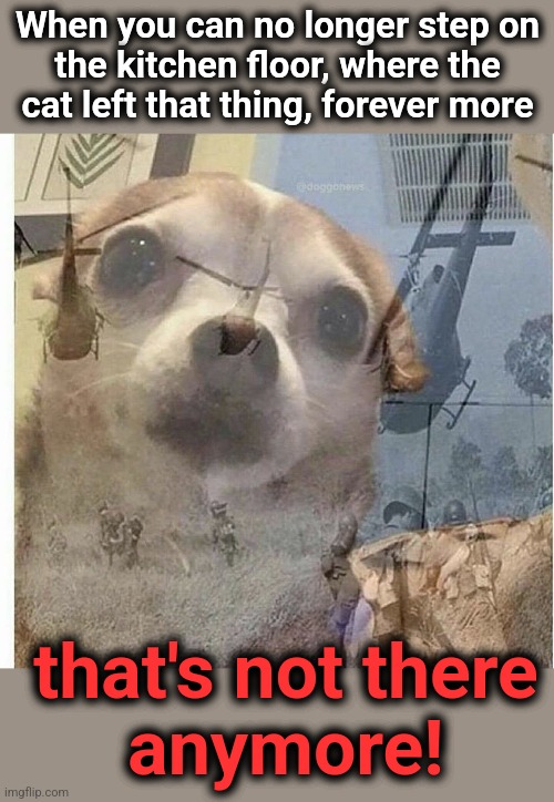 PTSD Chihuahua | When you can no longer step on
the kitchen floor, where the
cat left that thing, forever more; that's not there
anymore! | image tagged in ptsd chihuahua,memes,cat,kitchen floor,nope nope nope | made w/ Imgflip meme maker