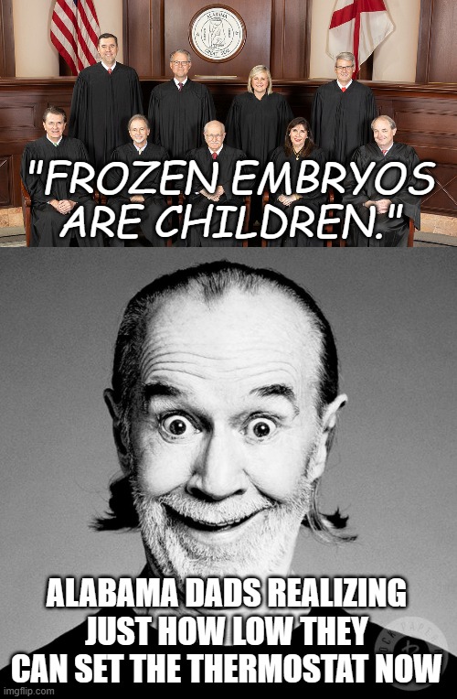 Dark but relevant. | "FROZEN EMBRYOS ARE CHILDREN."; ALABAMA DADS REALIZING JUST HOW LOW THEY CAN SET THE THERMOSTAT NOW | image tagged in alabama supreme court,george carlin,stupid,decisions | made w/ Imgflip meme maker