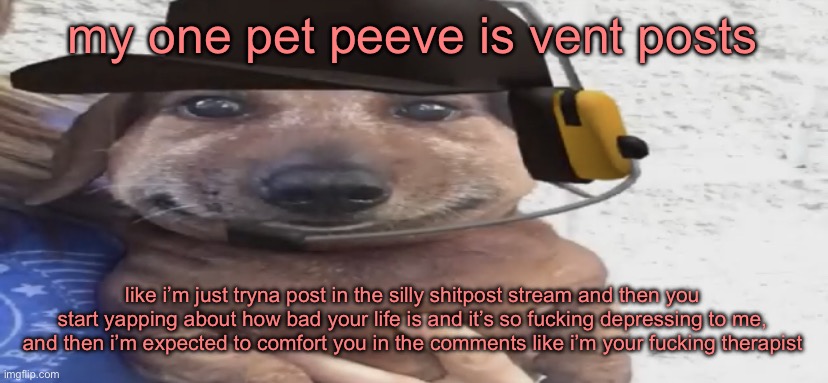 what are you gonna get out of yapping about your feelings here of all places | my one pet peeve is vent posts; like i’m just tryna post in the silly shitpost stream and then you start yapping about how bad your life is and it’s so fucking depressing to me, and then i’m expected to comfort you in the comments like i’m your fucking therapist | image tagged in chucklenuts | made w/ Imgflip meme maker