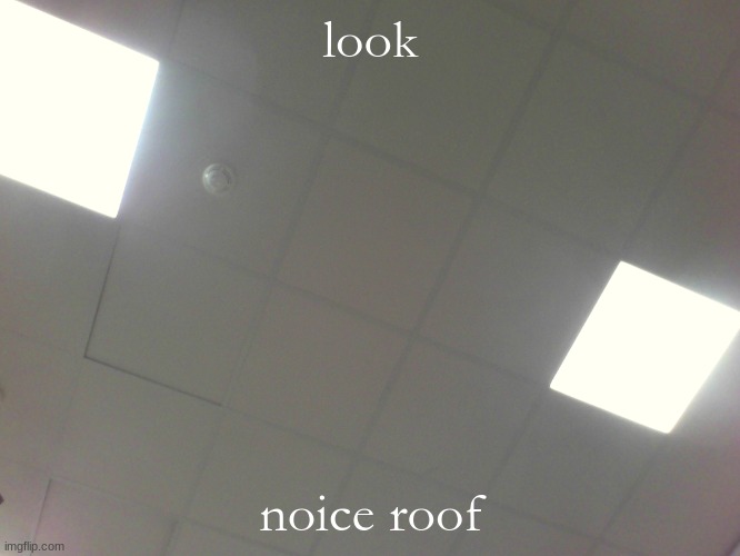 noice roof | look; noice roof | image tagged in nice roof,roof,memes | made w/ Imgflip meme maker