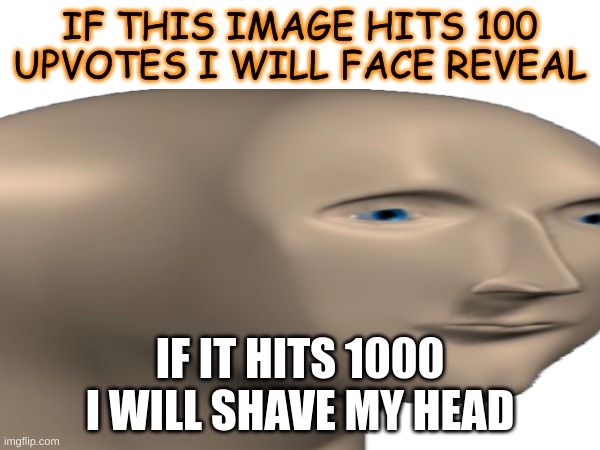 il do it | IF THIS IMAGE HITS 100 UPVOTES I WILL FACE REVEAL; IF IT HITS 1000 I WILL SHAVE MY HEAD | image tagged in funny,memes | made w/ Imgflip meme maker