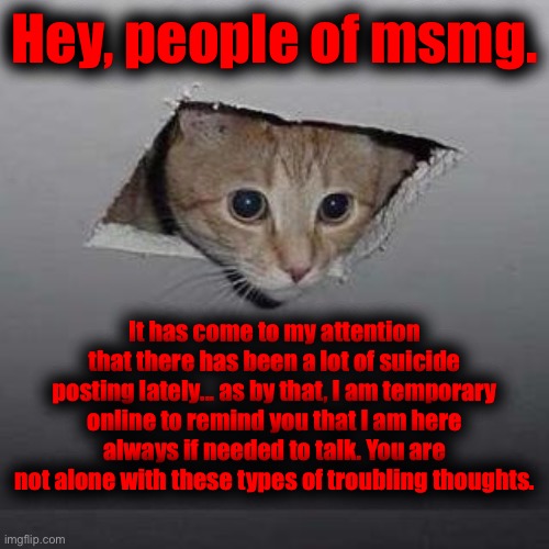 I am here and aware. | Hey, people of msmg. It has come to my attention that there has been a lot of suicide posting lately... as by that, I am temporary online to remind you that I am here always if needed to talk. You are not alone with these types of troubling thoughts. | image tagged in ceiling cat,you are not alone,the therapist is here for you,i am here for you,it will be okay | made w/ Imgflip meme maker