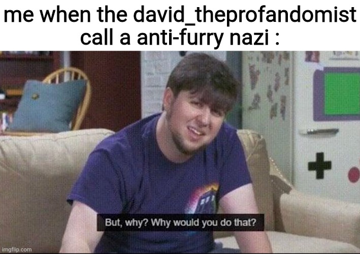 anti-furries are hating on you for that, you should stop calling them nazis | me when the david_theprofandomist call a anti-furry nazi : | image tagged in but why why would you do that,furry,why | made w/ Imgflip meme maker