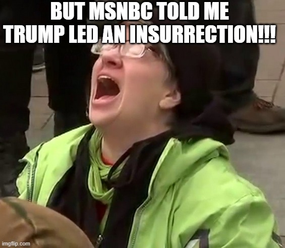 Crying liberal | BUT MSNBC TOLD ME TRUMP LED AN INSURRECTION!!! | image tagged in crying liberal | made w/ Imgflip meme maker