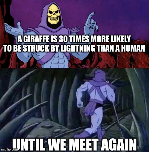 he man skeleton advices | A GIRAFFE IS 30 TIMES MORE LIKELY TO BE STRUCK BY LIGHTNING THAN A HUMAN; UNTIL WE MEET AGAIN | image tagged in he man skeleton advices | made w/ Imgflip meme maker