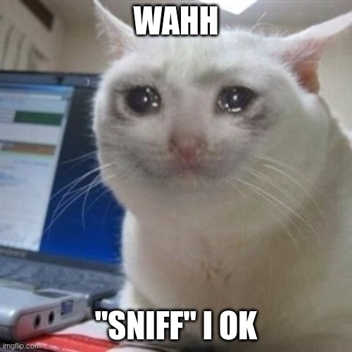 Crying cat | WAHH; "SNIFF" I OK | image tagged in crying cat,sister won't answer me | made w/ Imgflip meme maker