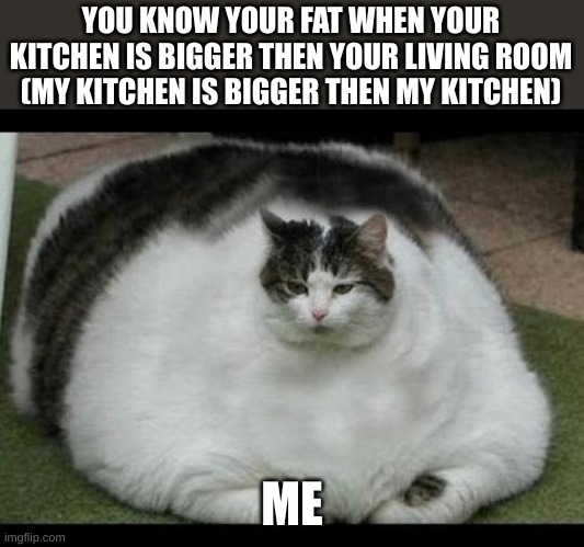 I'm actually really skinny girl but my kitchen is bigger then my living room (my mom is happy for a spacious kitchen) | YOU KNOW YOUR FAT WHEN YOUR KITCHEN IS BIGGER THEN YOUR LIVING ROOM (MY KITCHEN IS BIGGER THEN MY KITCHEN); ME | image tagged in ryjhjk,juit,ygjhtuy,hgj,htu6,ythgfjh | made w/ Imgflip meme maker