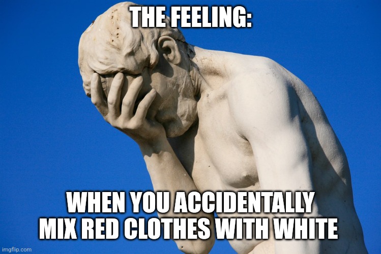 This has got to be the most common laundry mistake | THE FEELING:; WHEN YOU ACCIDENTALLY MIX RED CLOTHES WITH WHITE | image tagged in embarrassed statue,relatable,jpfan102504 | made w/ Imgflip meme maker