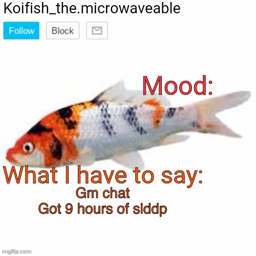 Koifish_the.microwaveable announcement | Gm chat

Got 9 hours of sleep | image tagged in koifish_the microwaveable announcement | made w/ Imgflip meme maker
