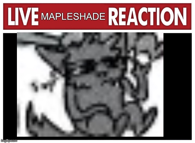 Live reaction | MAPLESHADE | image tagged in live reaction | made w/ Imgflip meme maker