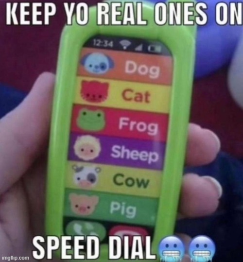 image tagged in memes,funny | made w/ Imgflip meme maker