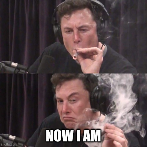 Elon Musk Weed | NOW I AM | image tagged in elon musk weed | made w/ Imgflip meme maker