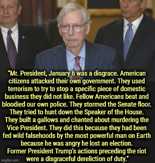McConnell speaks the truth, until his spine gives out. | “Mr. President, January 6 was a disgrace. American 
citizens attacked their own government. They used 
terrorism to try to stop a specific piece of domestic 
business they did not like. Fellow Americans beat and 

bloodied our own police. They stormed the Senate floor. 
They tried to hunt down the Speaker of the House. 

They built a gallows and chanted about murdering the 

Vice President. They did this because they had been 
fed wild falsehoods by the most powerful man on Earth 
because he was angry he lost an election. 

Former President Trump’s actions preceding the riot 
were a disgraceful dereliction of duty.” | image tagged in mitch mcconnell freezes up,mitch mcconnell,coup,insurrection,trump,capitol hill | made w/ Imgflip meme maker