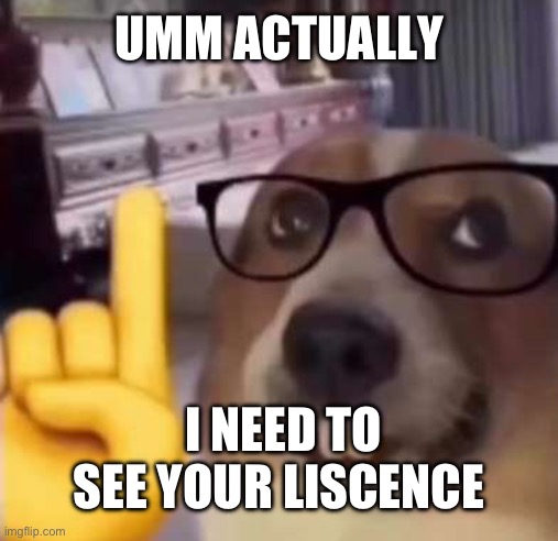 Umm actually | UMM ACTUALLY I NEED TO SEE YOUR LISCENCE | image tagged in umm actually | made w/ Imgflip meme maker