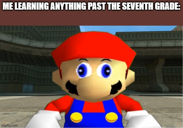 Meme | ME LEARNING ANYTHING PAST THE SEVENTH GRADE: | image tagged in smg4 mario derp reaction | made w/ Imgflip meme maker