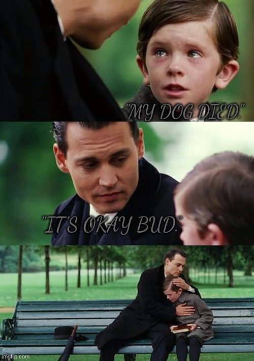 It's ok :) | "MY DOG DIED."; "IT'S OKAY BUD." | image tagged in memes,finding neverland | made w/ Imgflip meme maker