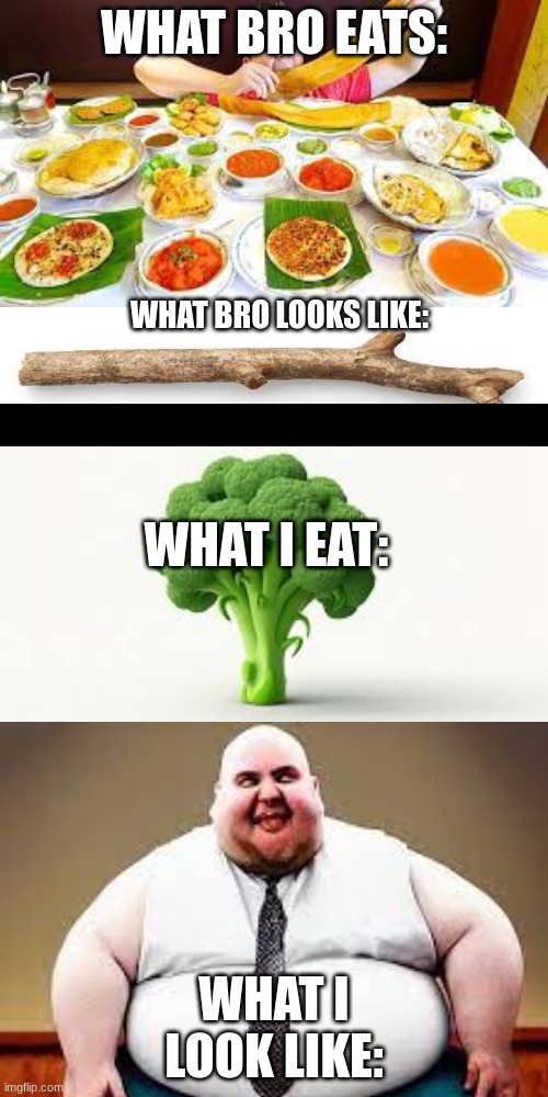 What i eat vs what bro eats | WHAT BRO EATS:; WHAT BRO LOOKS LIKE:; WHAT I EAT:; WHAT I LOOK LIKE: | image tagged in funny,real | made w/ Imgflip meme maker