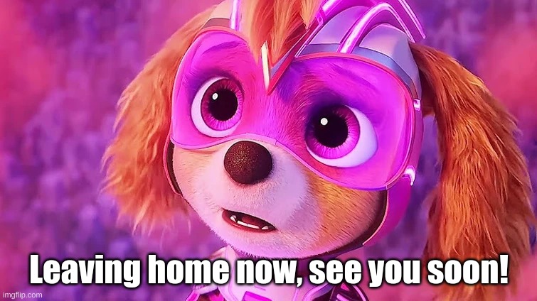 Skye Staring | Leaving home now, see you soon! | image tagged in skye staring | made w/ Imgflip meme maker