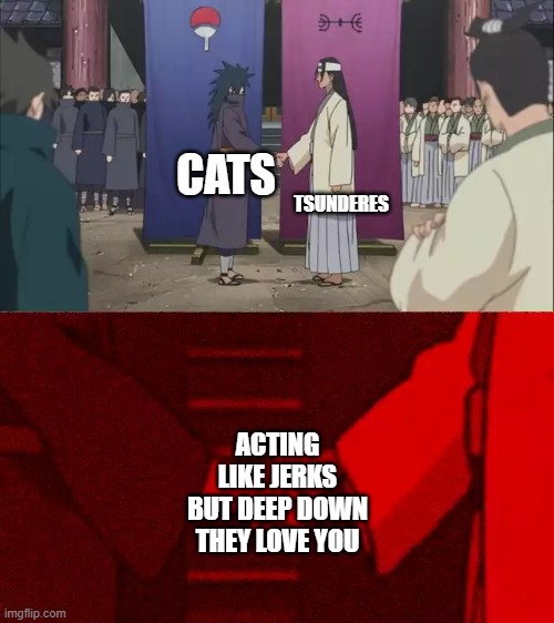 Naruto Handshake Meme Template | TSUNDERES; CATS; ACTING LIKE JERKS BUT DEEP DOWN THEY LOVE YOU | image tagged in naruto handshake meme template,memes,anime,cats | made w/ Imgflip meme maker