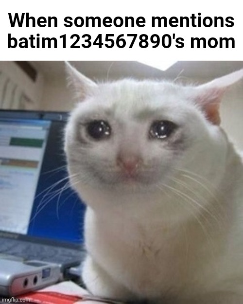 I feel bad for ma bro Batim. Incase you don't know, his mom died. | When someone mentions batim1234567890's mom | image tagged in crying cat | made w/ Imgflip meme maker
