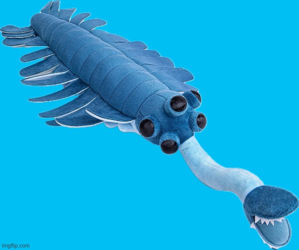 Skrunkly Opabinia plushie | image tagged in skrunkly opibinia plushie | made w/ Imgflip meme maker