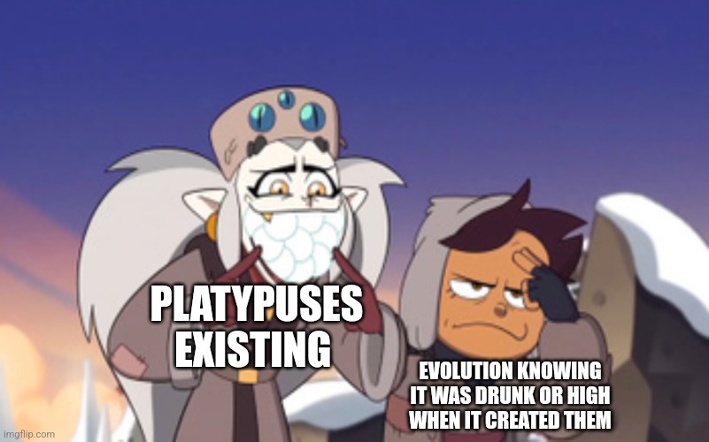 Platypuses exist because evolution was drunk | PLATYPUSES EXISTING; EVOLUTION KNOWING IT WAS DRUNK OR HIGH WHEN IT CREATED THEM | image tagged in eda embarrassing luz the owl house,science,jpfan102504 | made w/ Imgflip meme maker