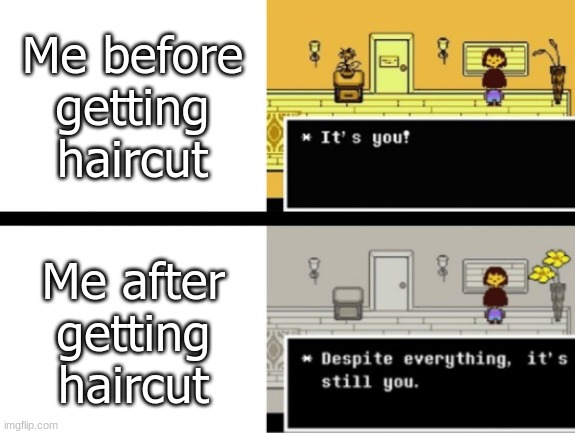 Despite everything, its still you | Me before getting haircut; Me after getting haircut | image tagged in despite everything its still you | made w/ Imgflip meme maker