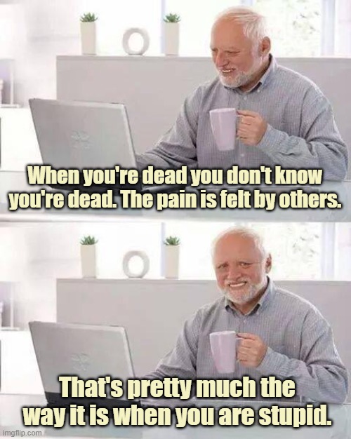 Dead and Stupid: Pretty much the same | When you're dead you don't know you're dead. The pain is felt by others. That's pretty much the way it is when you are stupid. | image tagged in stupid people,being stupid,being dead | made w/ Imgflip meme maker