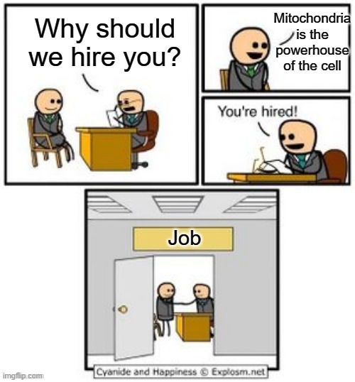 How teachers expect us to get a job. | Mitochondria is the powerhouse of the cell; Why should we hire you? Job | image tagged in your hired | made w/ Imgflip meme maker