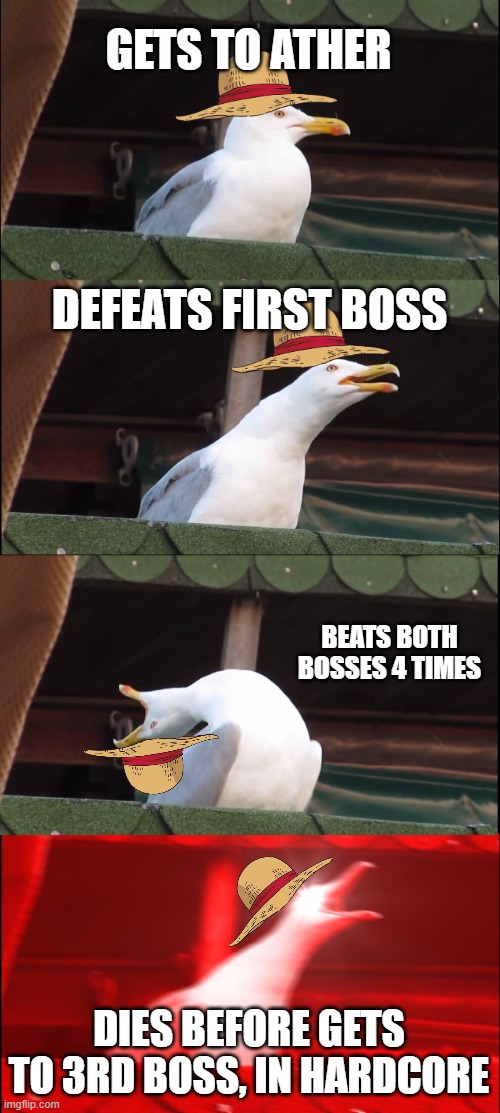 cringygull in ather | GETS TO ATHER; DEFEATS FIRST BOSS; BEATS BOTH BOSSES 4 TIMES; DIES BEFORE GETS TO 3RD BOSS, IN HARDCORE | image tagged in memes,cringygull | made w/ Imgflip meme maker