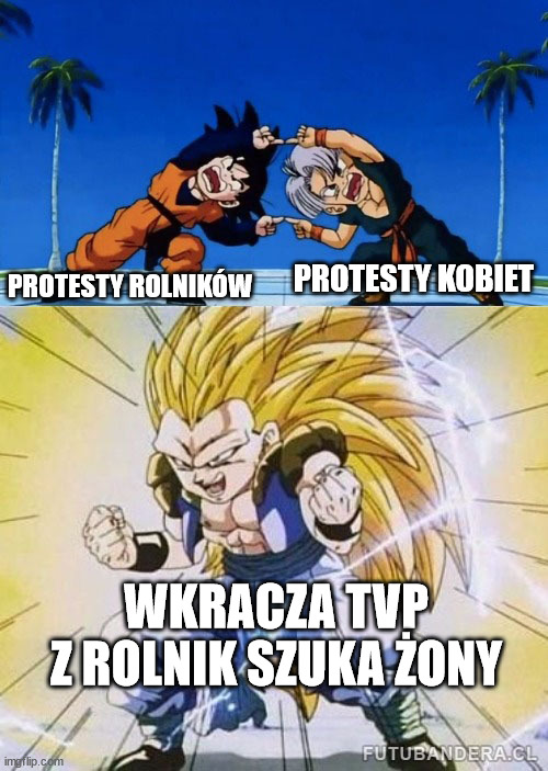 DBZ FUSION | PROTESTY KOBIET; PROTESTY ROLNIKÓW; WKRACZA TVP Z ROLNIK SZUKA ŻONY | image tagged in dbz fusion | made w/ Imgflip meme maker