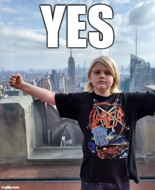 go to  https://imgflip.com/i/8ie092 and post this image        also to be serious my answer is no | YES | image tagged in sinx_yt triumph | made w/ Imgflip meme maker