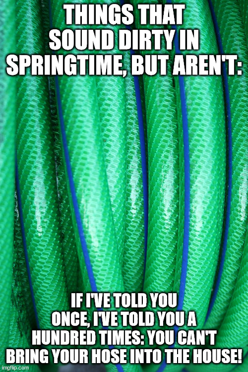 Things That Sound Dirty: Springtime Edition (Part 4) | THINGS THAT SOUND DIRTY IN SPRINGTIME, BUT AREN'T:; IF I'VE TOLD YOU ONCE, I'VE TOLD YOU A HUNDRED TIMES: YOU CAN'T BRING YOUR HOSE INTO THE HOUSE! | image tagged in garden hose,funny,humor,pun,double entendre | made w/ Imgflip meme maker