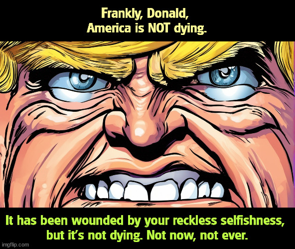 Crazy Donald may have trouble making it through to 2028, but America will survive. | Frankly, Donald, 
America is NOT dying. It has been wounded by your reckless selfishness, 
but it's not dying. Not now, not ever. | image tagged in trump,dying,america,survive,selfishness | made w/ Imgflip meme maker