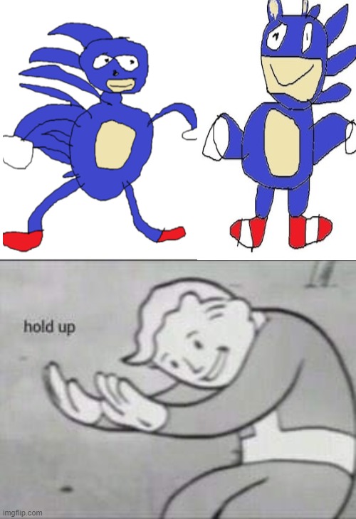 what the heck | image tagged in fallout hold up | made w/ Imgflip meme maker