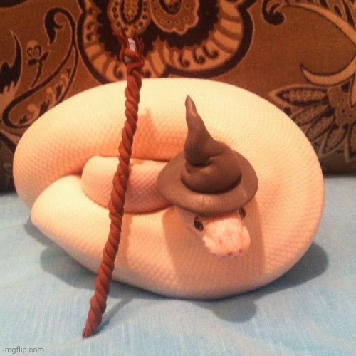 no announcement, jus enjoy the snek | made w/ Imgflip meme maker
