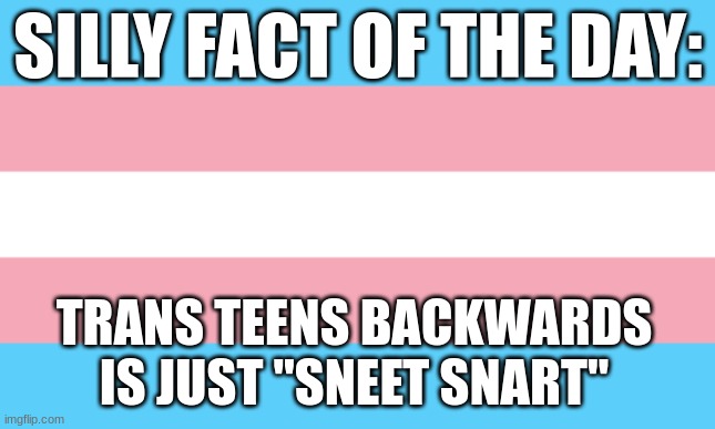 Sneet snart :3 | SILLY FACT OF THE DAY:; TRANS TEENS BACKWARDS IS JUST "SNEET SNART" | image tagged in trans flag,transgender,lgbtq,silly,fun fact | made w/ Imgflip meme maker