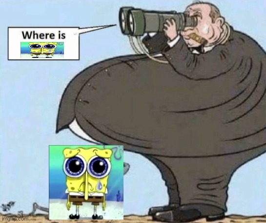where is spongebob? | image tagged in where is spongebob | made w/ Imgflip meme maker