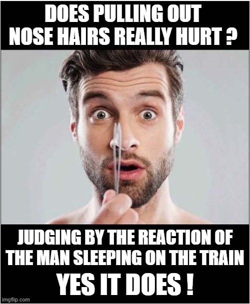 Do Try This Yourself (On A Stranger) ! | DOES PULLING OUT NOSE HAIRS REALLY HURT ? JUDGING BY THE REACTION OF THE MAN SLEEPING ON THE TRAIN; YES IT DOES ! | image tagged in nose hairs,pulling,stranger,dark humour | made w/ Imgflip meme maker