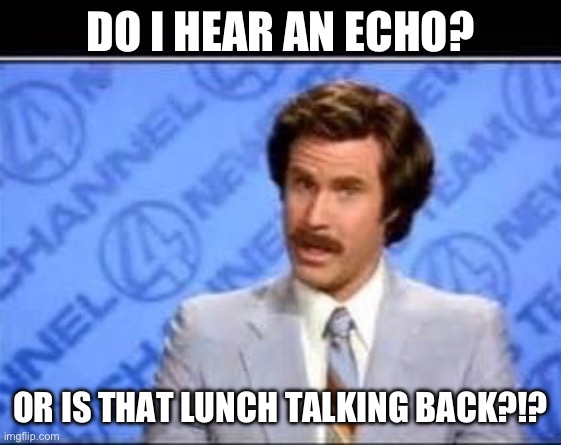 Echo or lunch? | DO I HEAR AN ECHO? OR IS THAT LUNCH TALKING BACK?!? | image tagged in will farrel | made w/ Imgflip meme maker