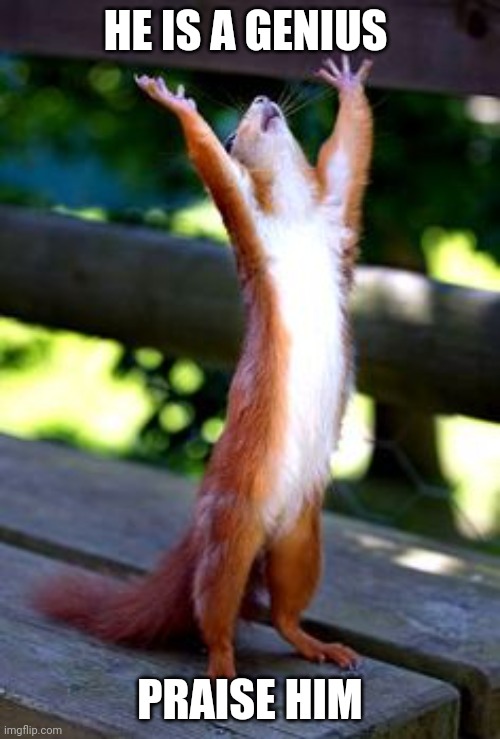 Praise God squirrel | HE IS A GENIUS PRAISE HIM | image tagged in praise god squirrel | made w/ Imgflip meme maker
