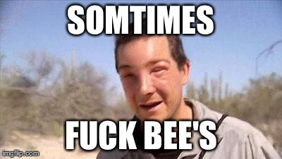SOMTIMES F**K BEE'S | image tagged in AdviceAnimals | made w/ Imgflip meme maker