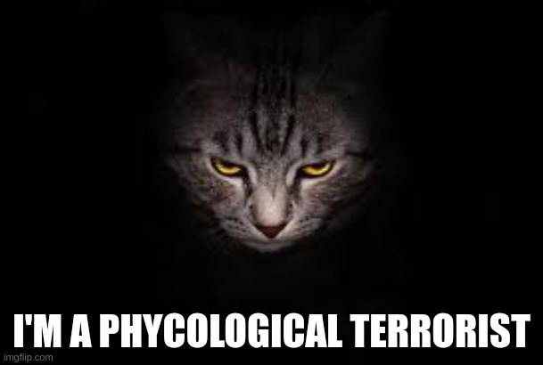 I'M A PHYCOLOGICAL TERRORIST | made w/ Imgflip meme maker