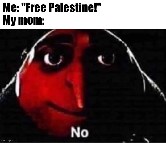 I made this cuz my mom supports Israel lol | Me: "Free Palestine!"
My mom: | image tagged in gru no | made w/ Imgflip meme maker