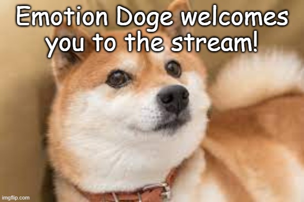 Welcome! | Emotion Doge welcomes you to the stream! | image tagged in cute doge | made w/ Imgflip meme maker