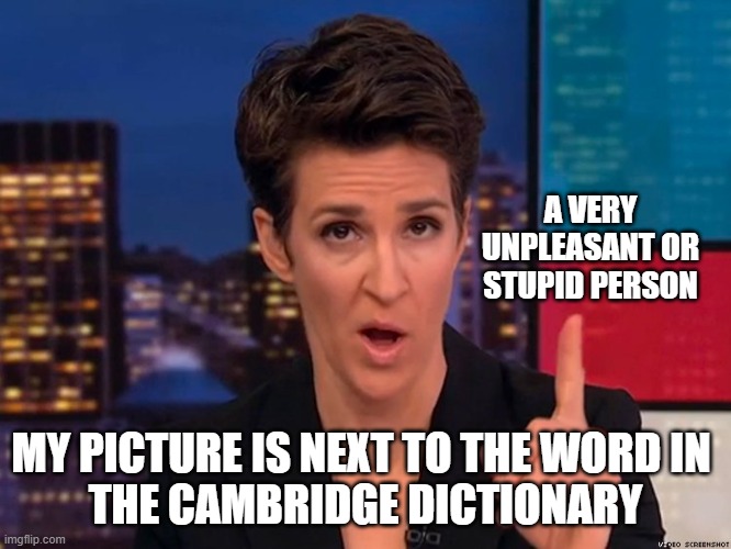 Maddow | A VERY UNPLEASANT OR STUPID PERSON; MY PICTURE IS NEXT TO THE WORD IN 
THE CAMBRIDGE DICTIONARY | image tagged in maddow | made w/ Imgflip meme maker