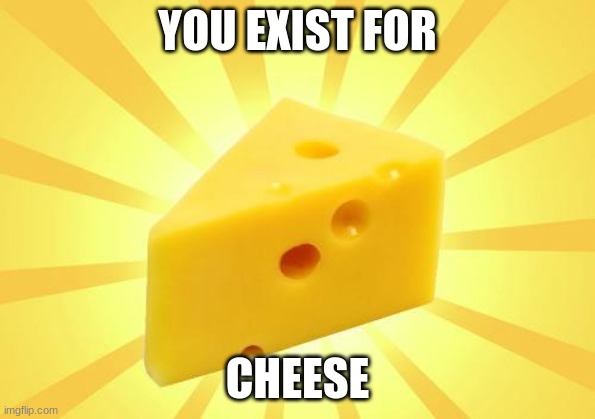 YOU EXIST FOR CHEESE | image tagged in cheese time | made w/ Imgflip meme maker