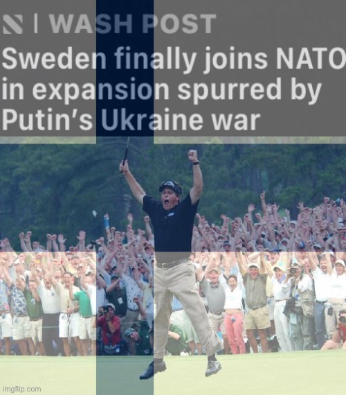 Congratulations Finland!!!! | image tagged in golf celebration,finland,nato | made w/ Imgflip meme maker