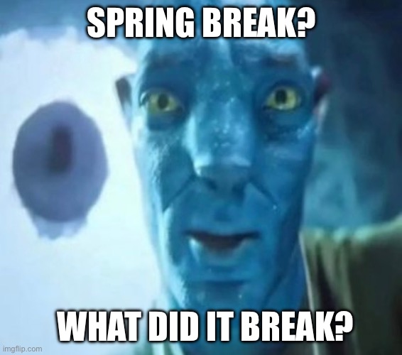 Avatar guy | SPRING BREAK? WHAT DID IT BREAK? | image tagged in avatar guy,spring break,staring avatar guy,2024,memes | made w/ Imgflip meme maker