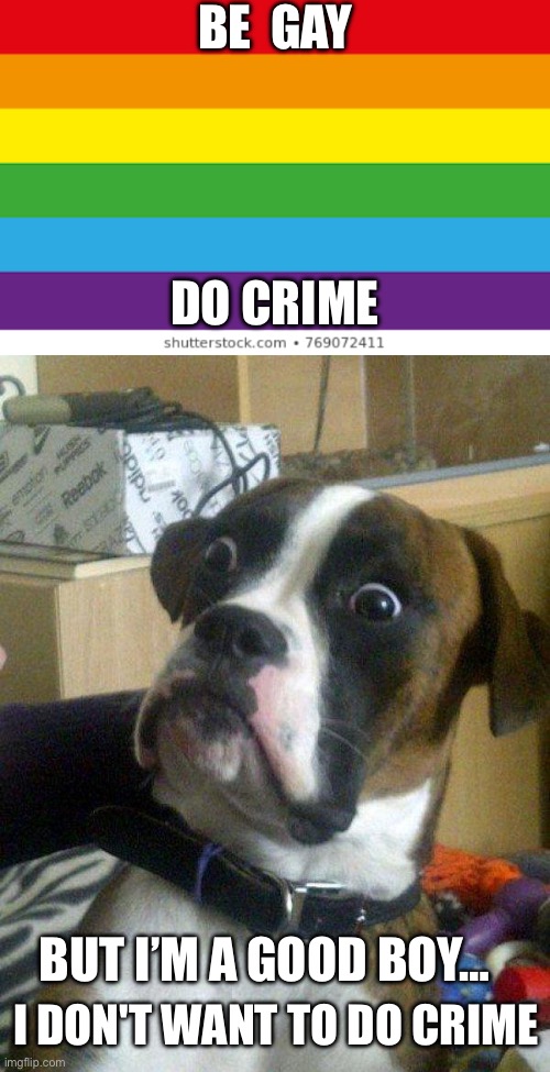 Be gay, do crime? | BE  GAY; DO CRIME; BUT I’M A GOOD BOY…; I DON'T WANT TO DO CRIME | image tagged in lgbtq,blankie the shocked dog,pride,be gay do crime,no crime,dog | made w/ Imgflip meme maker